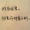 野猪大改造